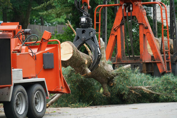 Best Utility Line Clearance  in Stroud, OK