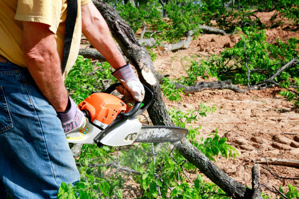 Best Lawn Watering Services  in Stroud, OK
